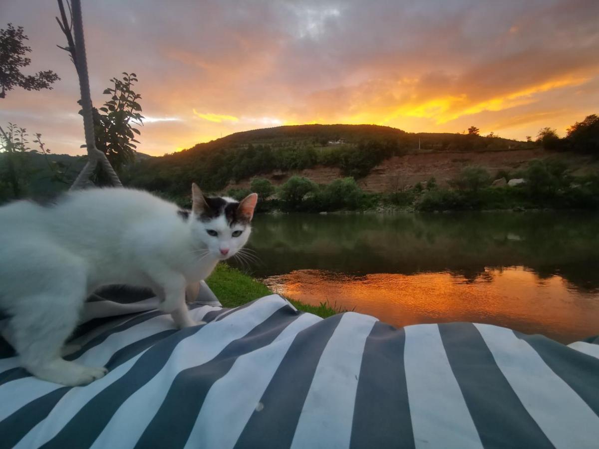 Vikendica Pored Drine Foca Handici Kültér fotó